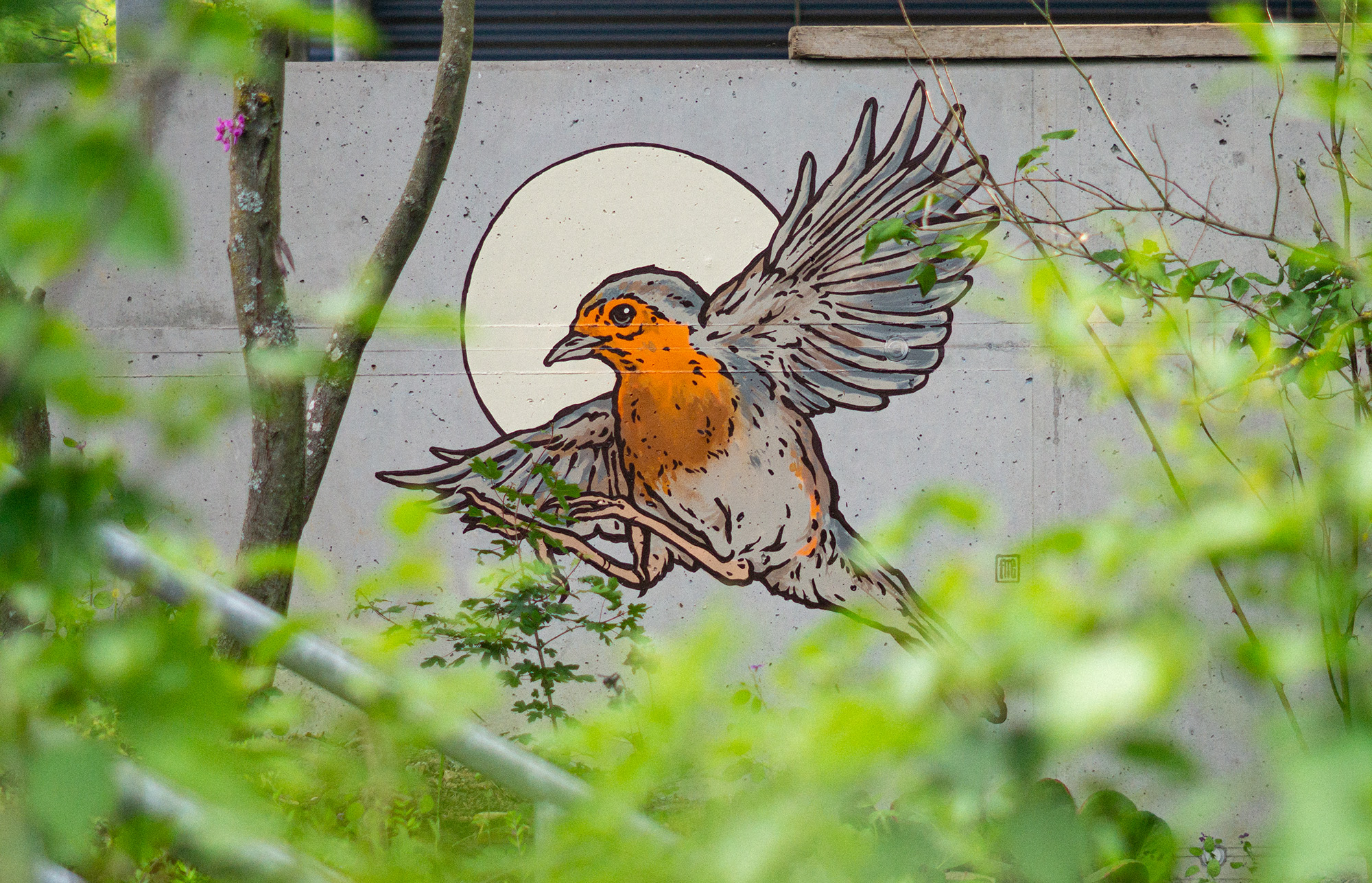 Fliegendes kleines Rotkehlchen auf Gussbetonwand an Carport gemalt.
