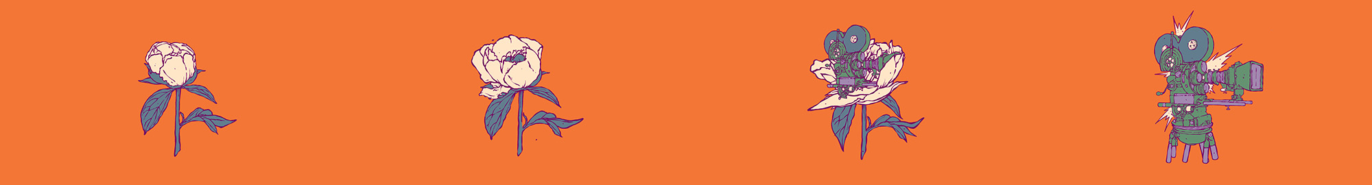 Animationsstrip mit Illustrationen einer Blüte die zur Kamera wird.